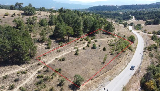 SAFRANBOLU AŞAĞIDANA KÖYDE 128 ADA 55 PARSEL SATILIK ARSA